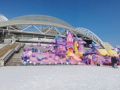 -沈阳奥体冰雪嘉年华