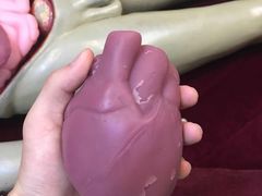 -陕西自然博物馆