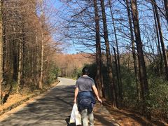 -山王坪喀斯特国家生态公园