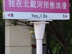 -东来菜馆•手抓海鲜家常菜•海鲜锅贴