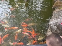 -珠海圆明新园
