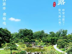 -东莞植物园