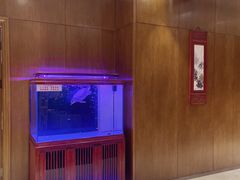 -老江南春·中国龙菜(衡山路店)
