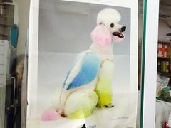 -惠康宠物医院(华能路店)