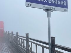 -江南天池