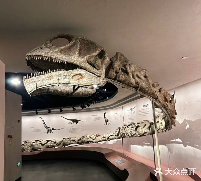 自贡恐龙博物馆图片