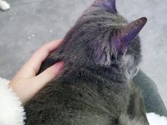 -极木²邸 人与宠物·互动社区