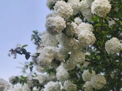 -杭州城北体育公园