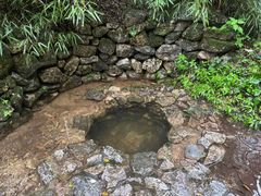 -牛背梁国家森林公园