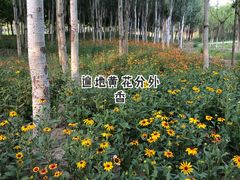 -东郊湿地公园