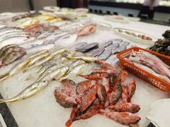 石斑眉鱼-高佳庄·舟山海鲜(海景旗舰店)