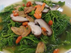 上汤浸桑叶-成惠食府(赤岗店)