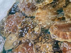 -聚德福海鲜家常菜(刘庄店)