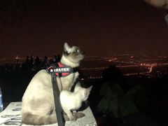 -鬼笑石后山停车场