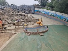 -青藏高原野生动物园