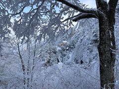 -九华山风景区