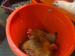 -生态苑农庄(十里画廊遇龙河店)