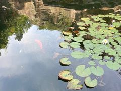 -蛇蟠岛