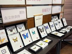 -三联韬奋书店(三里屯店)