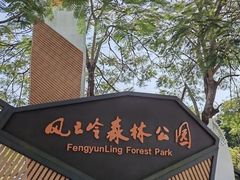 -风云岭森林公园