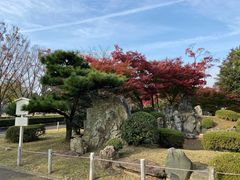-名古屋城