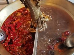 -小龙翻大江文化火锅(宽窄店)