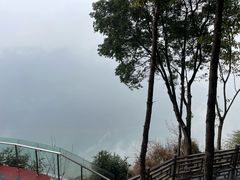 -铁山坪森林公园