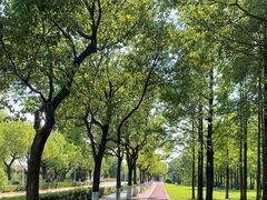 -上海交通大学(闵行校区)