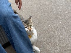 -铜瓢江湖兔火锅(水碾河社区店)