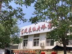 -凤来仙大冷面(八一里店)