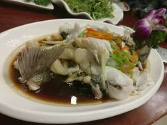 鲜花椒鲈鱼-金牌餐厅·天津菜·八珍豆腐·老爆三(瓷房子店)