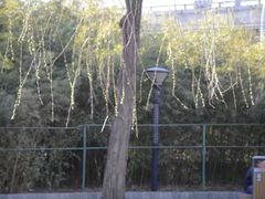 -丰台花园