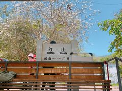 -红山村