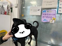 -北京赛佳动物医院