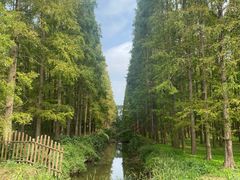 -东平国家森林公园
