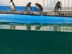 -重庆欢乐海底世界