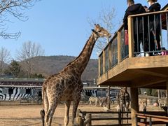 -大连森林动物园