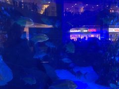 -成都浩海立方海洋公园