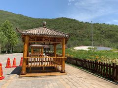 -北京十三陵国家森林公园蟒山景区