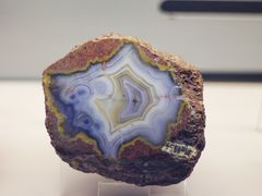 -中国地质博物馆