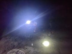 -小猫钓鱼海钓俱乐部(椰梦长廊店)