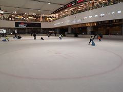 -TheRink大零溜冰场(IFS国金中心店)