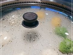 -挂雪铁锅炖大鹅