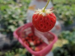 -美吉姆儿童发展中心(芜湖万达广场店)