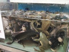 -盒马鲜生(大成店)
