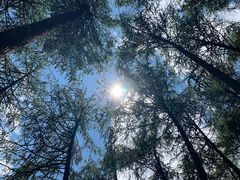 -硗碛藏寨·神木垒景区