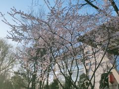 -迎泽公园