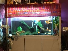 -ventus spa 沙巴亚庇正宗精油按摩会所