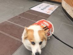-联合动物医院(光谷诊疗中心)