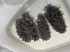 -品味居·首店·大连鲜活海鲜大连菜(东港店)